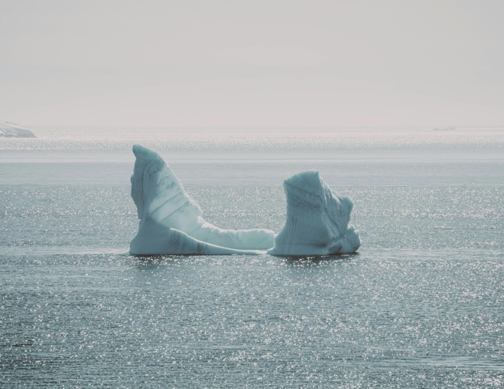 It udannelse nuuk